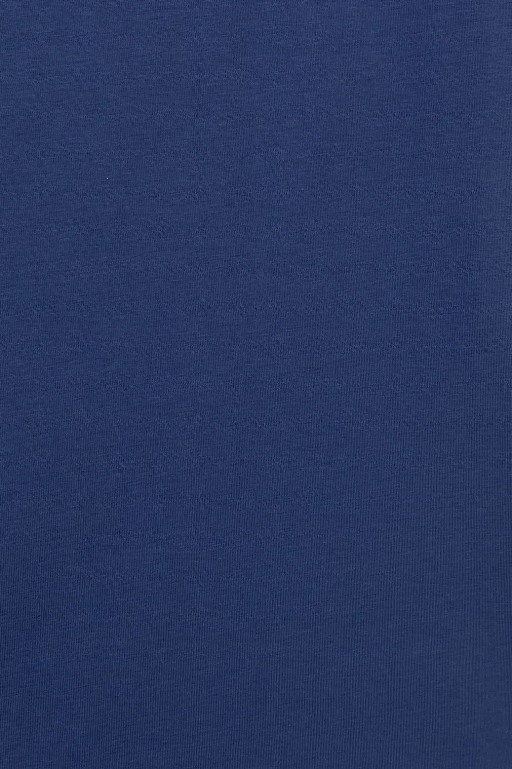 Blauw T-shirt met ronde hals