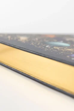 Boek het dikke boek van ons bijzondere heelal