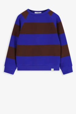 Bruin met blauw gestreepte sweater