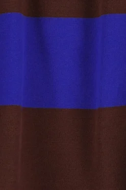 Bruin met blauw gestreepte sweater