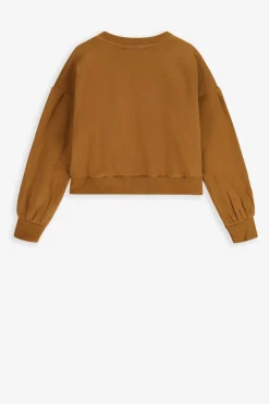 Bruine cropped sweater met artwork