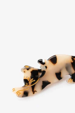 Bruine haarklem kat
