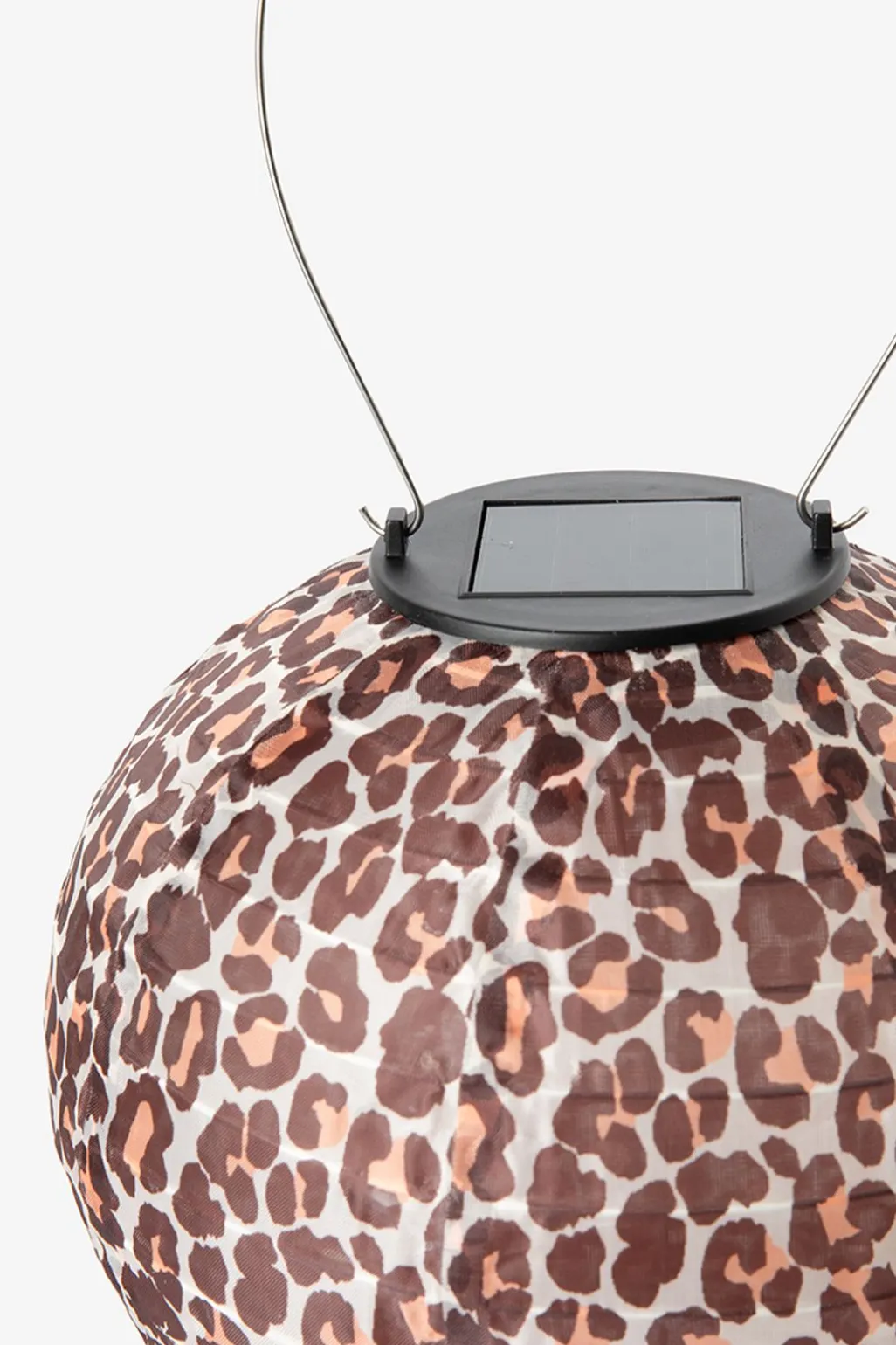 Bruine lantaarn met leopard print
