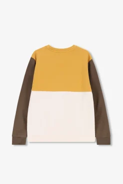 Donkergroene colourblock sweater met artwork
