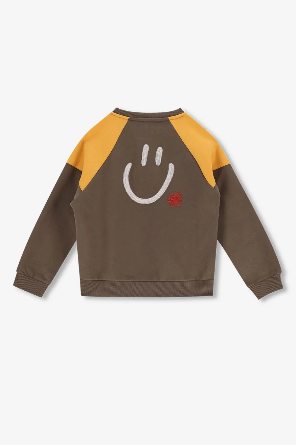 Donkergroene colourblock sweater met artwork