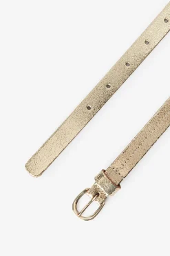 Gouden riem met goudkleurige gesp