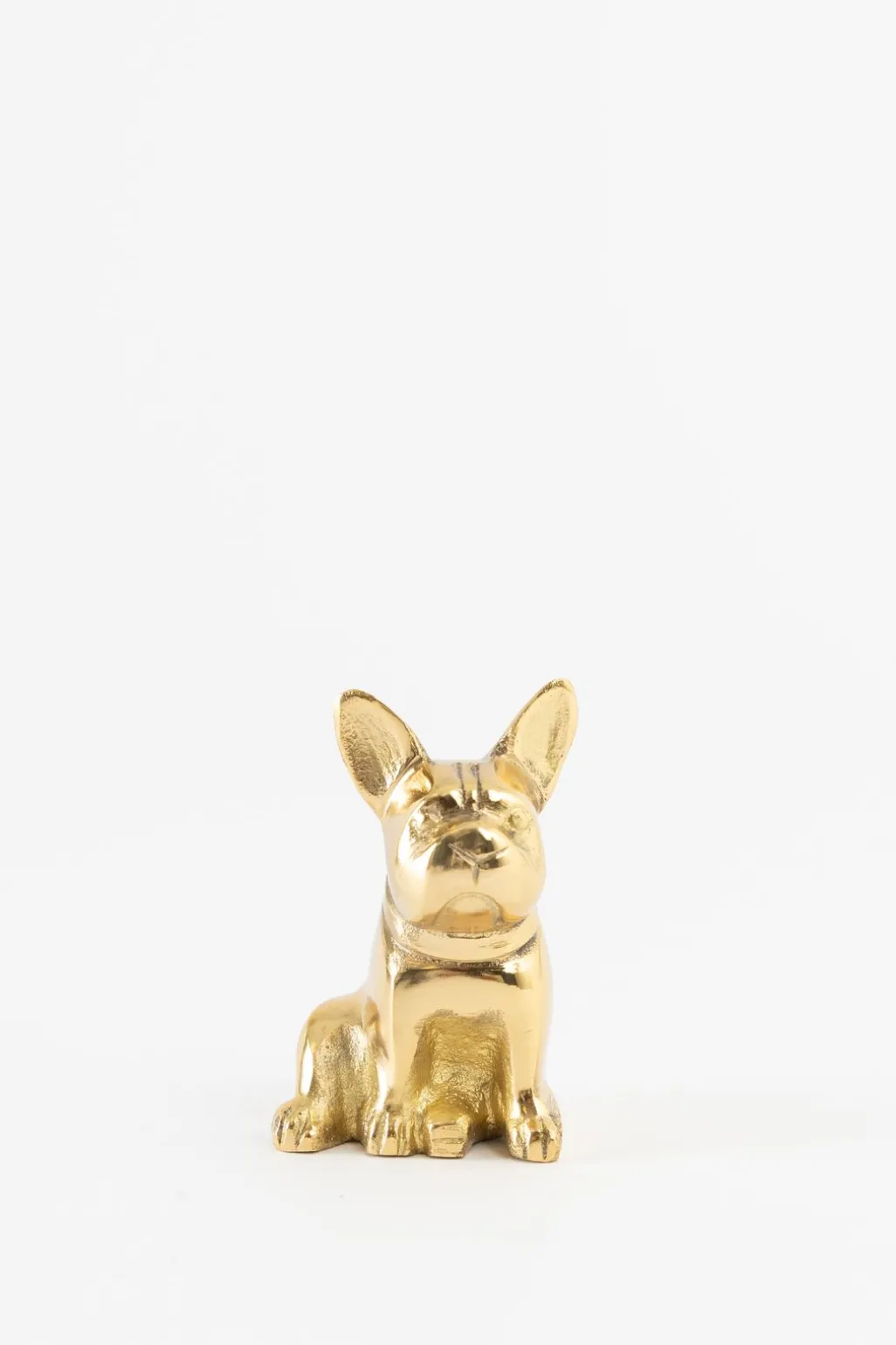 Goudkleurige kandelaar bulldog