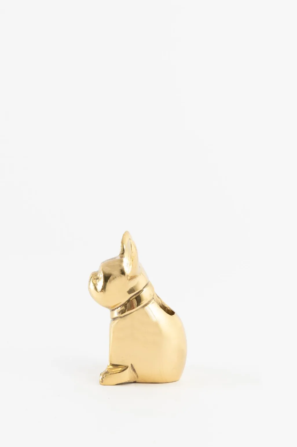 Goudkleurige kandelaar bulldog