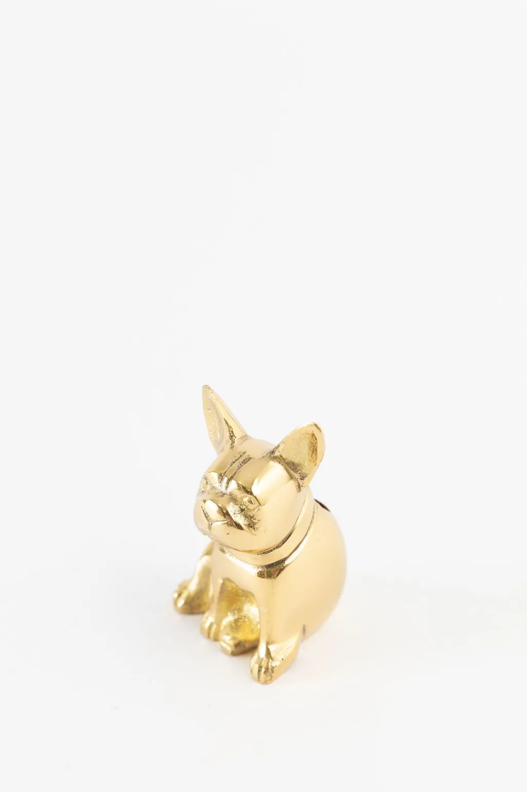 Goudkleurige kandelaar bulldog