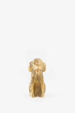 Goudkleurige kandelaar labradoodle