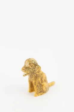 Goudkleurige kandelaar labradoodle