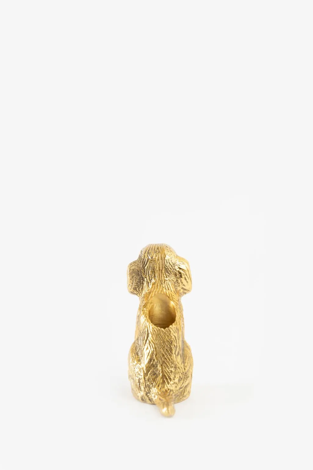 Goudkleurige kandelaar labradoodle