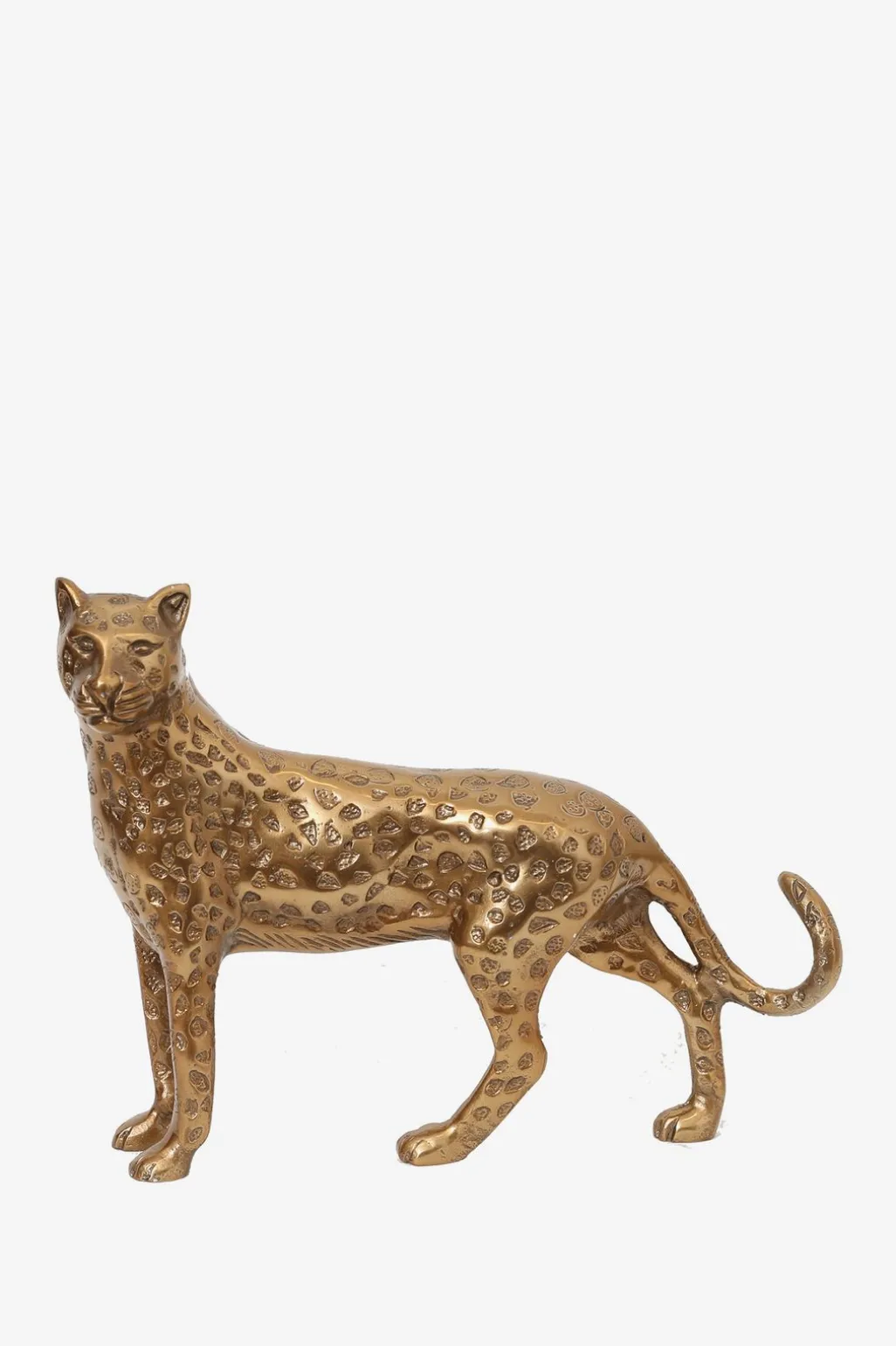 Goudkleurige leopard