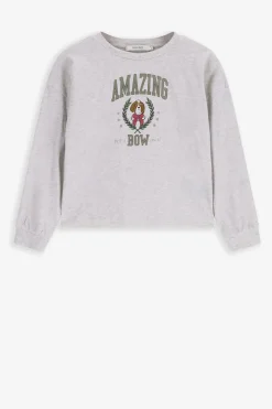 Grijze longsleeve met print