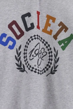 Grijze sweater met artwork