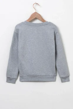 Grijze sweater met fiets