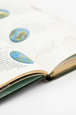 Het dikke boek van bijzondere dino's