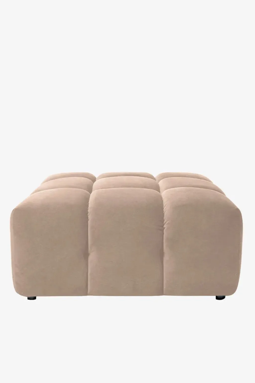 Marquis hocker camel