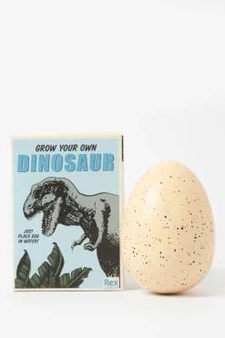 Rex London grow your own dinosaur