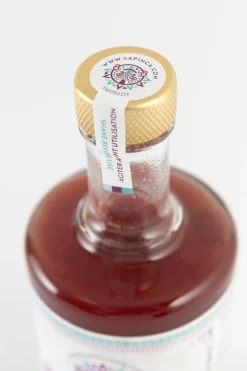 Sapinca organic fruit elixir